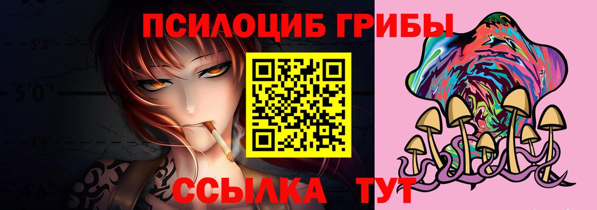 Шадринск  Галлюциногенные грибы прущие грибы  Вход с VPN  Псилоцибиновые грибы прущие грибы 